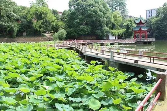 心路历程 | 【32】天天向上(图2) 心路历程 | 【32】天天向上(图2)