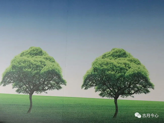 心路历程 | 【67】树和草(图1) 心路历程 | 【67】树和草(图1)