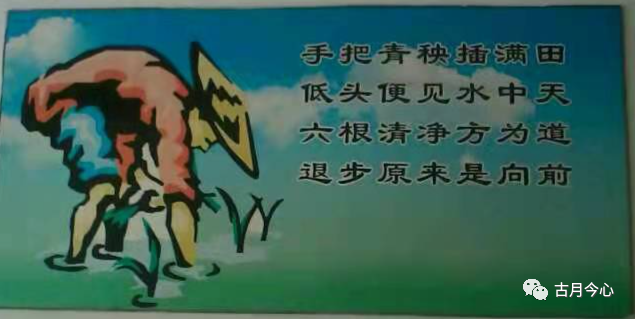 心路历程 | 【81】插秧歌(图1) 心路历程 | 【81】插秧歌(图1)