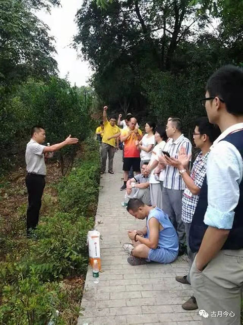 心路历程 | 【90】杨贵妃与法拉利(图1) 心路历程 | 【90】杨贵妃与法拉利(图1)