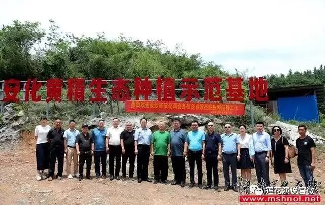 导师班学员求学记：安化黄精走进新时代，长吉精选踏上新征程(图5)